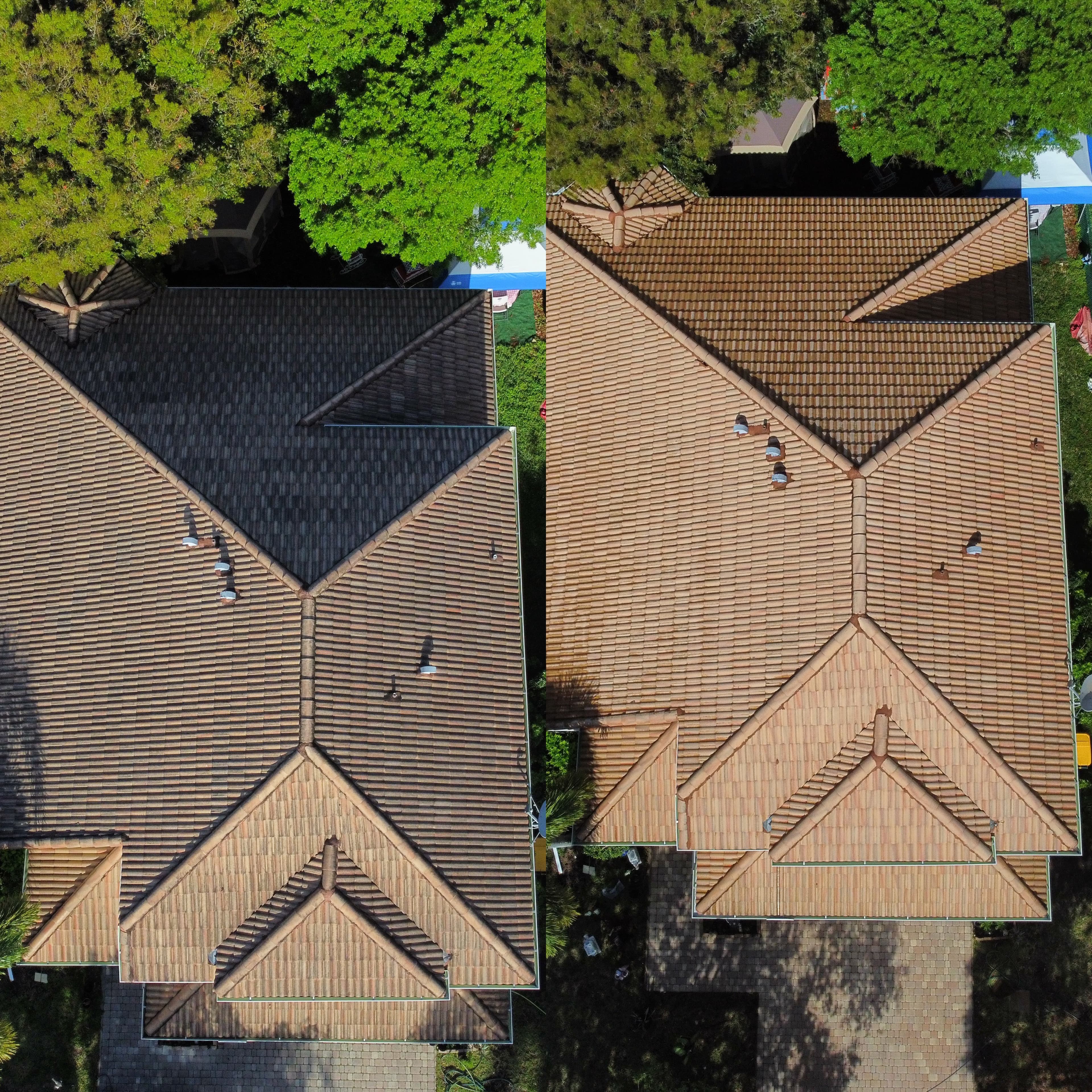 Roof soft-wash