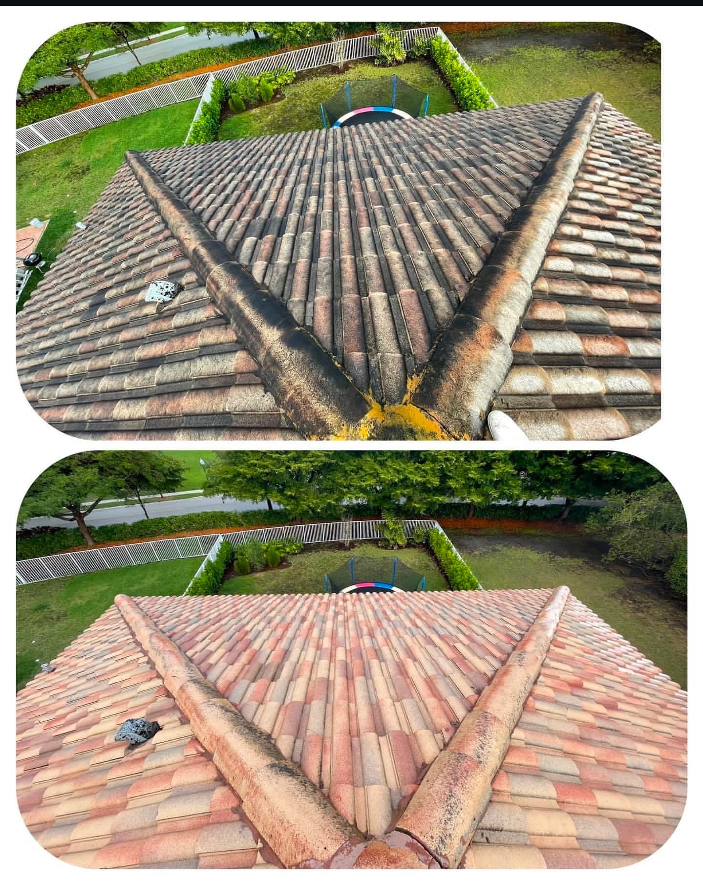 Roof soft-wash — before & after