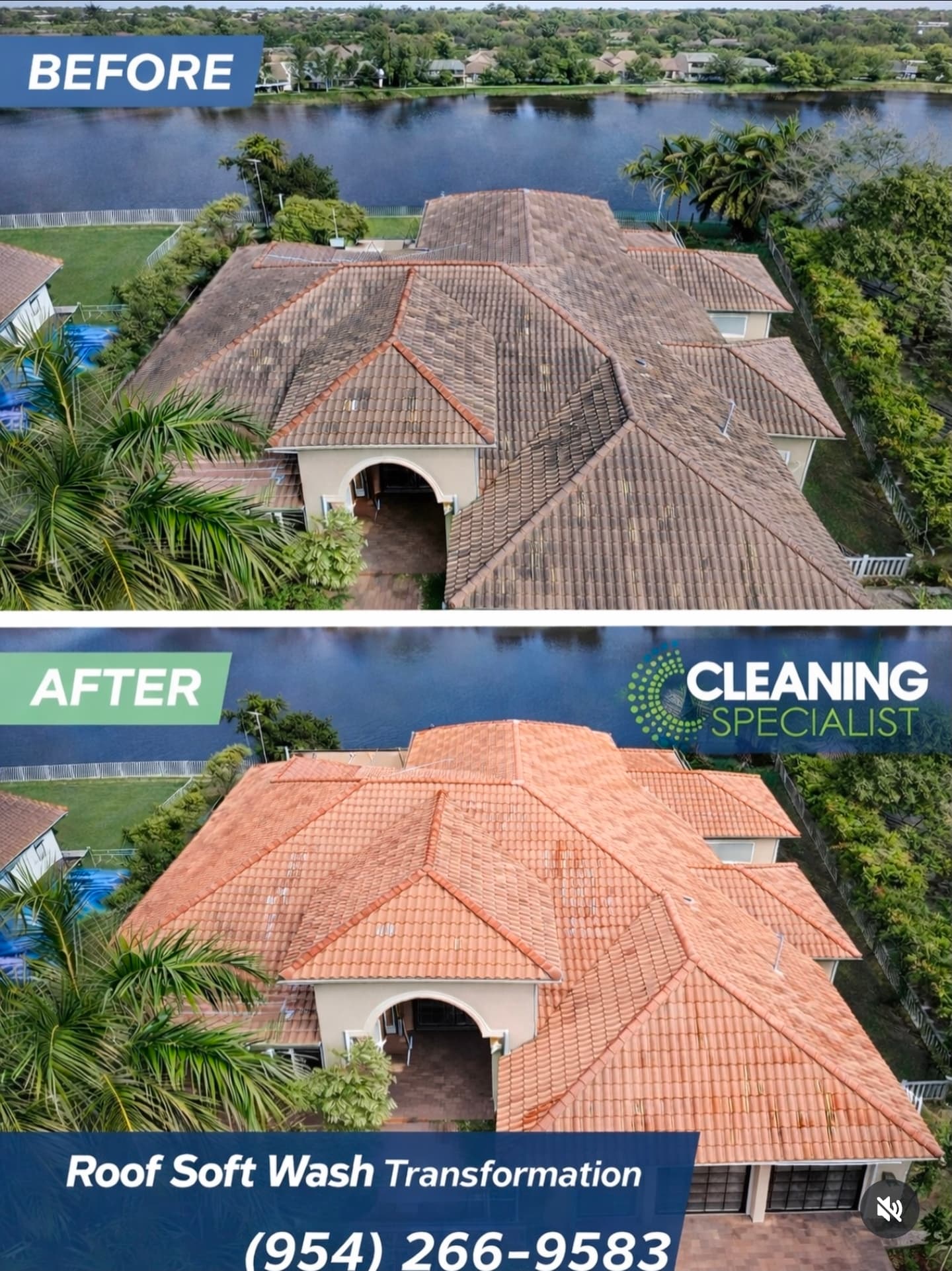 Roof soft-wash — before & after